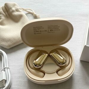 Professional AI Translation Earbuds 156 Languages 3-in-1 Real-Time Voice Transla